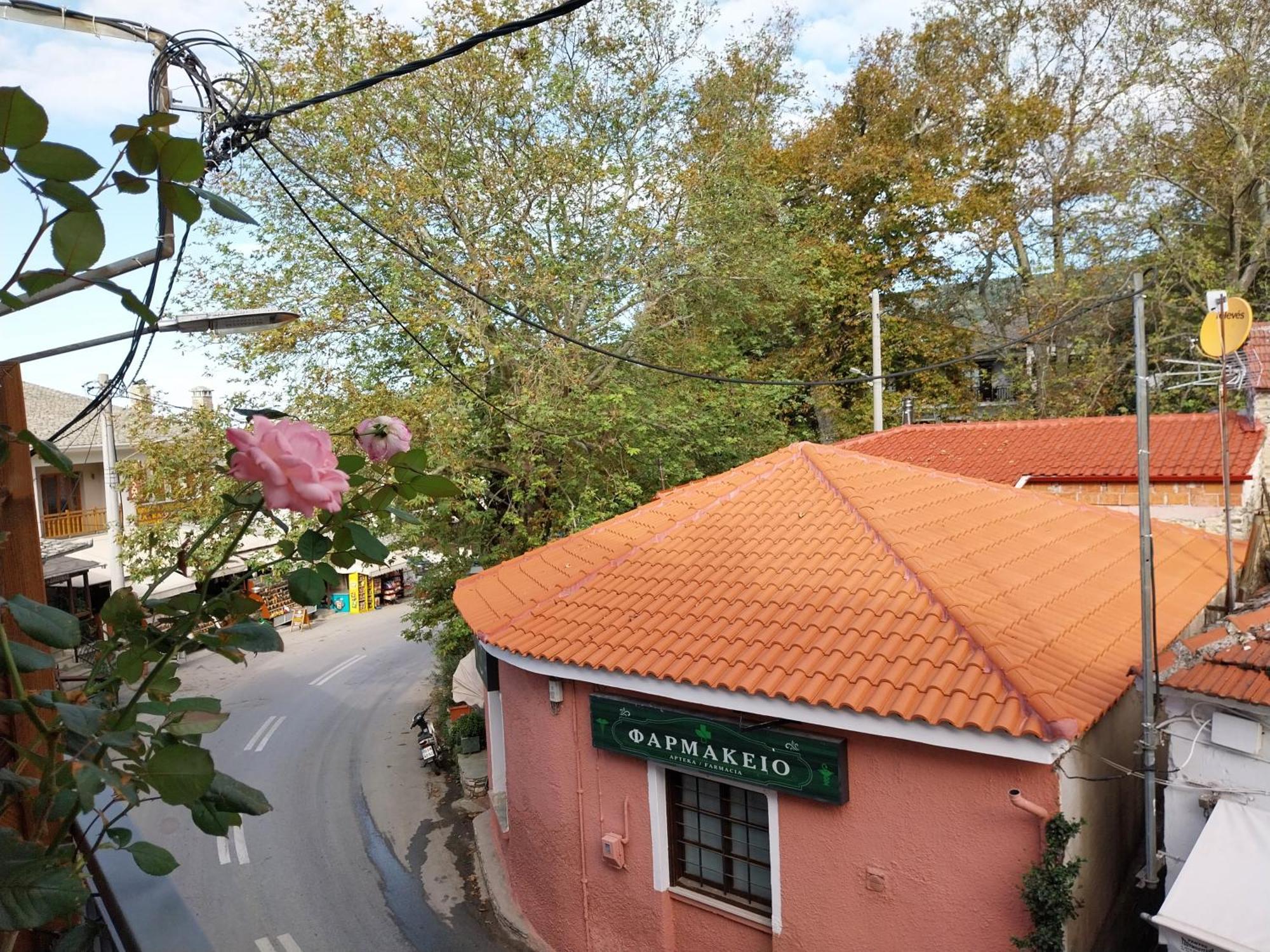 Marousos Central Guesthouse Portariá Exteriör bild